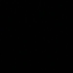 Meet your Posher, Ella